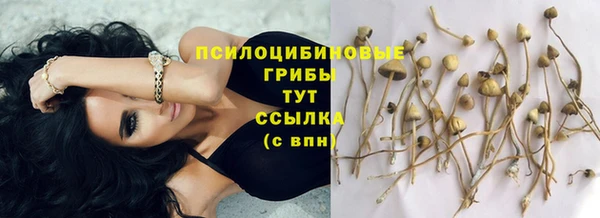 спиды Балабаново