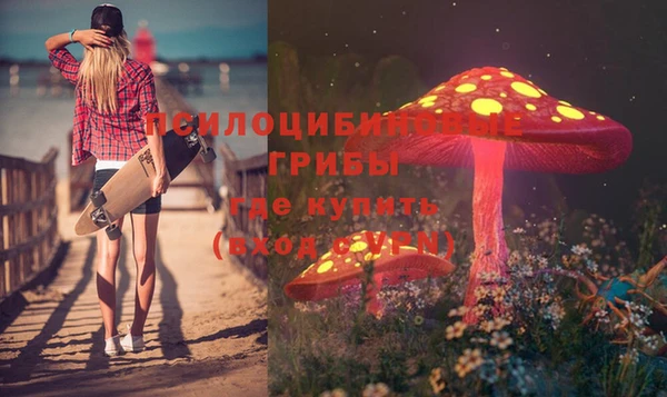 стафф Баксан
