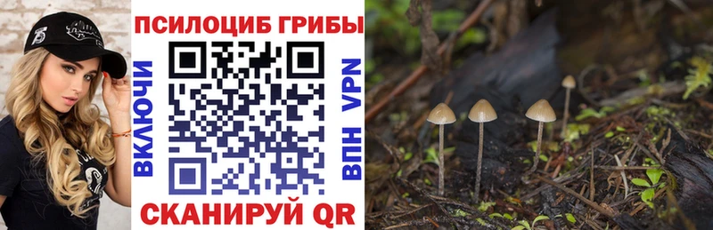 купить наркотики цена  ОМГ ОМГ ONION  Галлюциногенные грибы прущие грибы  Великие Луки 